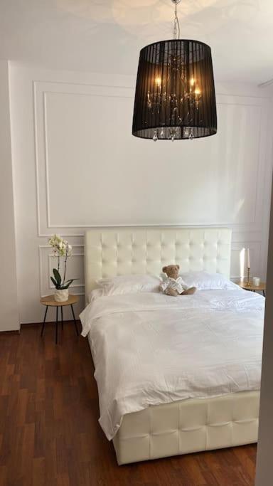 Hidden Gem Apartment In The Center Of The City Brasov Ngoại thất bức ảnh